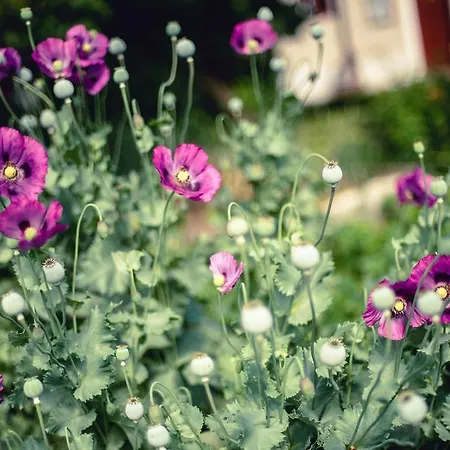 شقة Historischer Pfarrhof Niederleierndorf Langquaid